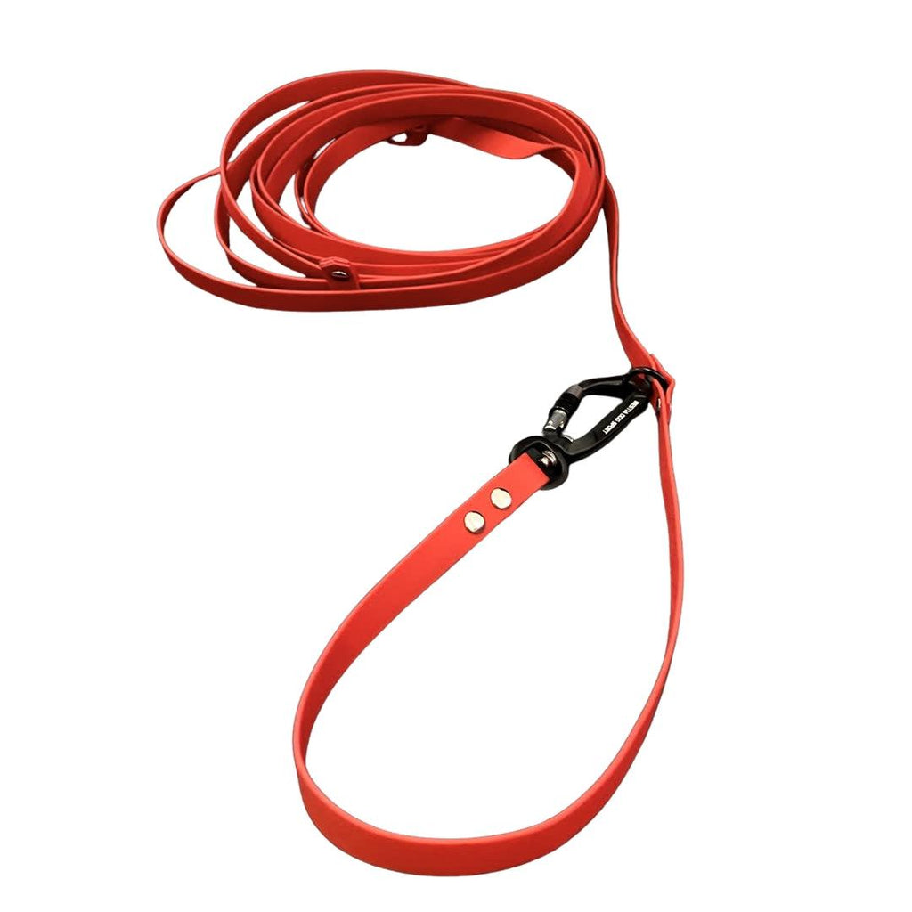 Monitoimitalutin koiralle, 5 m – NORDPAW