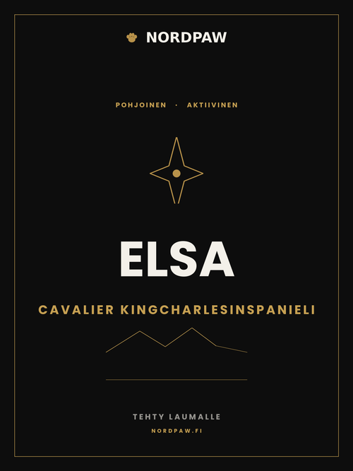 Huopa: Cavalier kingcharlesinspanieli